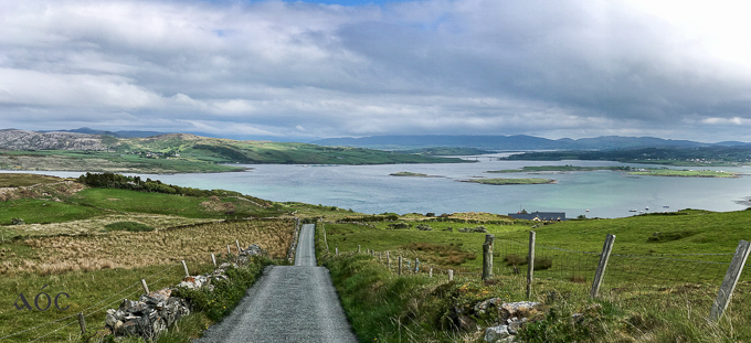 Donegal 6